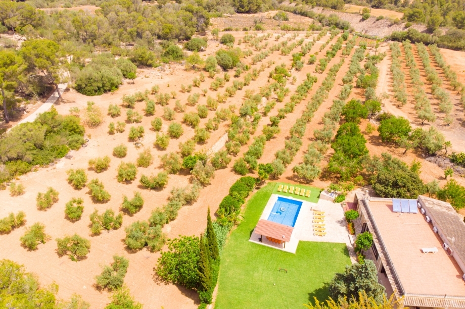Villa El Bosque - Llucmajor