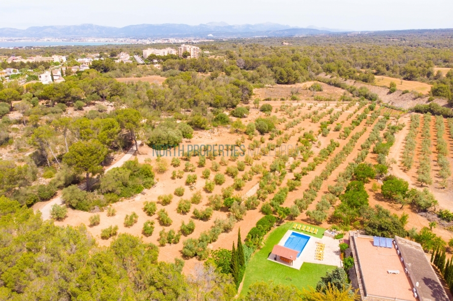 Villa El Bosque - Llucmajor